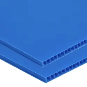P. P. SHEET